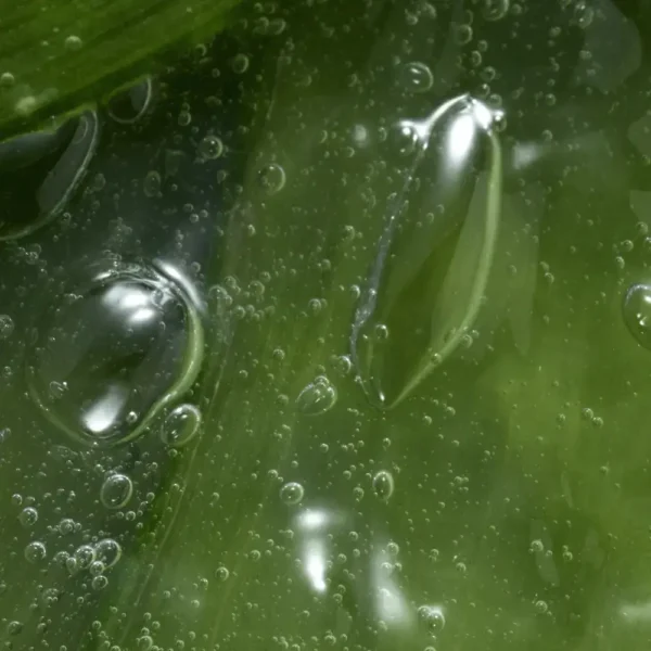 Intimate shaving gel