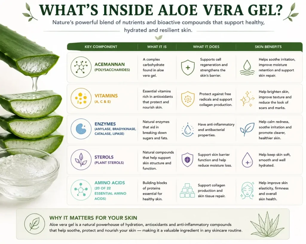 What's inside aloe vera gel — components and their functions